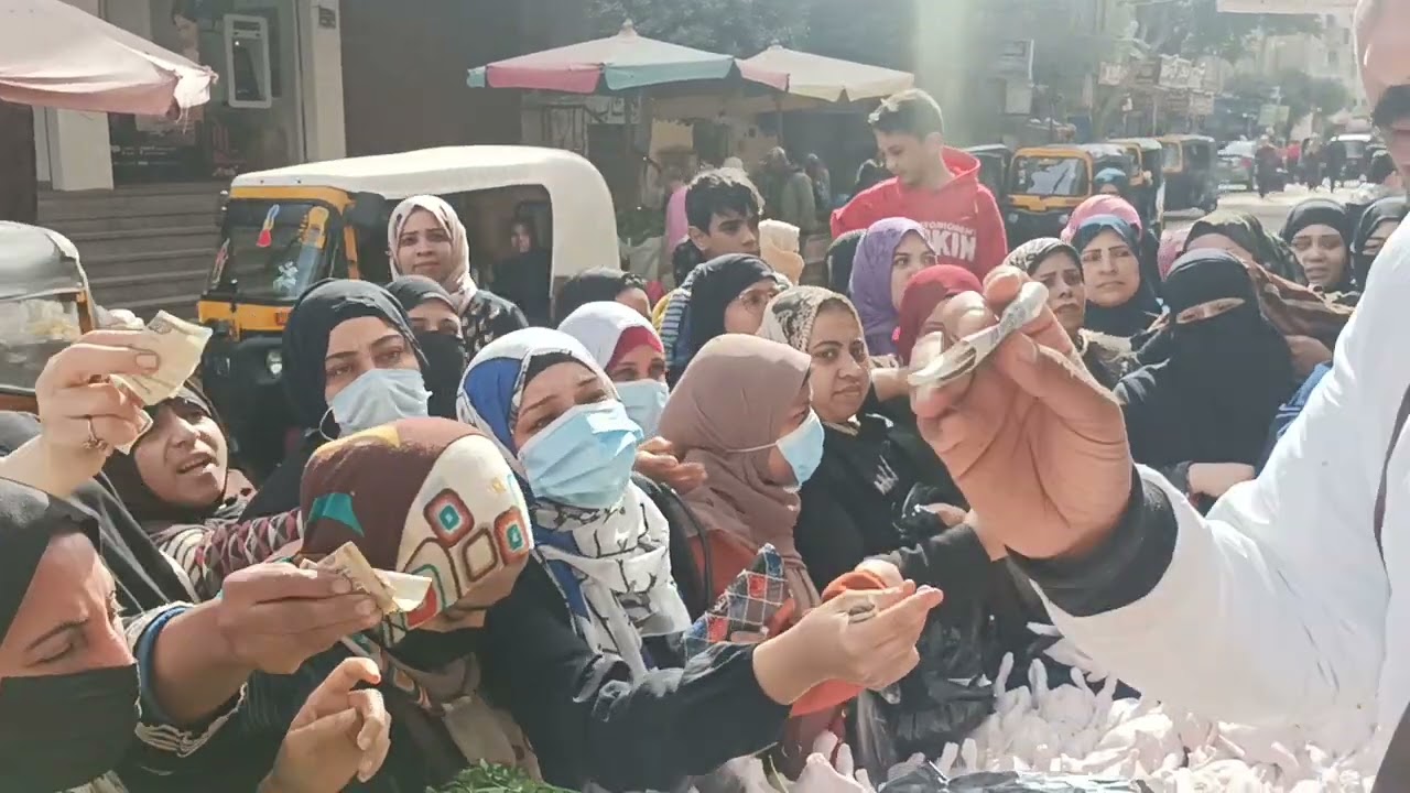 5 فرخات ب100 جنيه وكبد وقوانص ب40 .. أحلى فراخ من عند أبو أنس بشبرا الخيمة