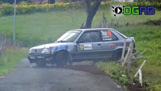 RALLY LEA ARTIBAI 2023 | Crash, Mistakes & On Board