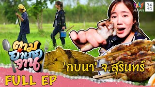 ตามหา 'กบนา' จ.สุรินทร์ | ตามอำเภอจาน | 27 ส.ค.65 Full EP