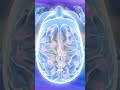 This Is Why That Embarrassing Memory Won't Go Away #psychology #shorts