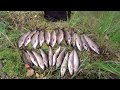#Рыбалка#Река#Лосось#Хариус Рыбалка на реке, новый контент.