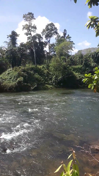 Mind relaxing nature ❤❤❤