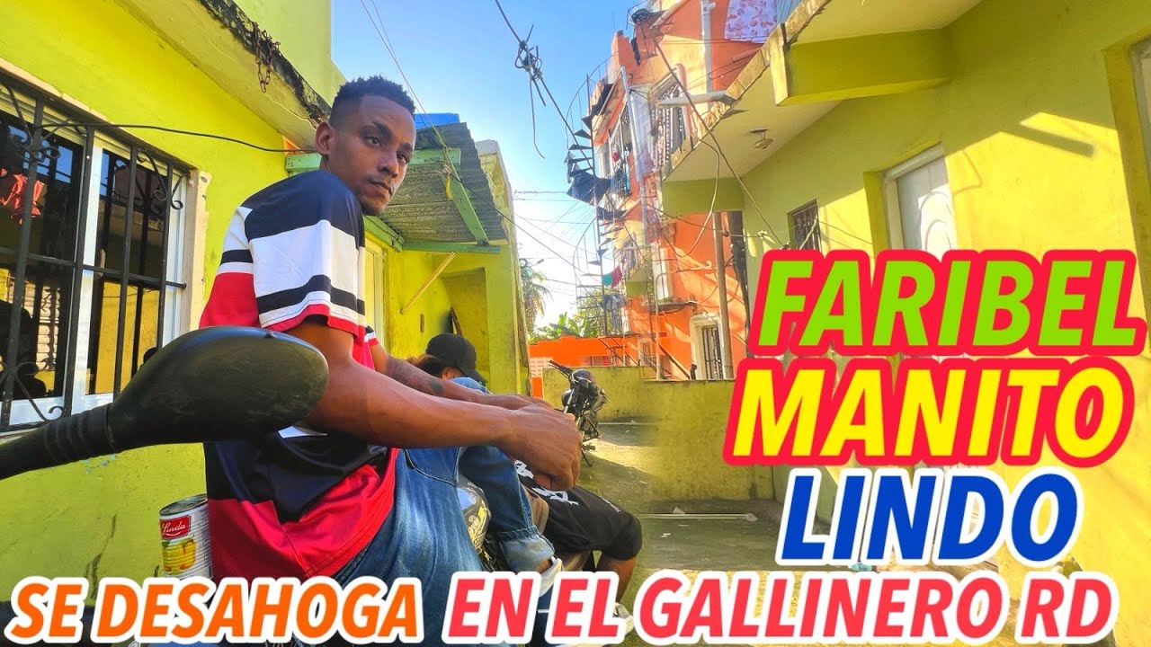 FARIBEL MANITO LINDO SE DESAHOGA EN EL GALLINERO RD. #shorts #short #shortvideo #viral #video