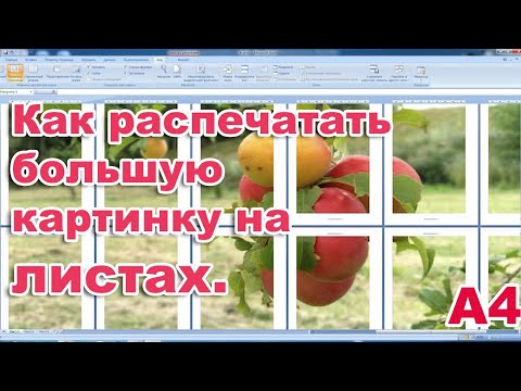 Как распечатать большую картинку на нескольких листах. А4.