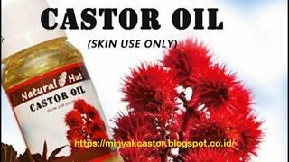 Jual minyak jarak murnii , castor oil ...