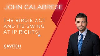 The BIRDIE Act and Its Swing at IP Rights