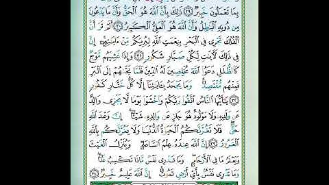 سورة لقمان الآيات 29-30 تلاوة الشيخ أيمن سويد #قليل_دائم_خير