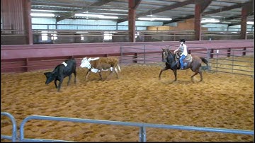 Valley View Ranch - Young Money - sorting 2