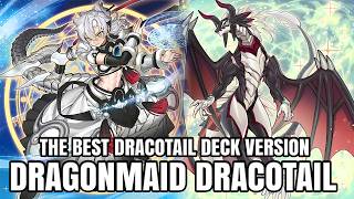 Dracotail Dragonmaid Deck The best Dracotail Version Ranked Gameplay