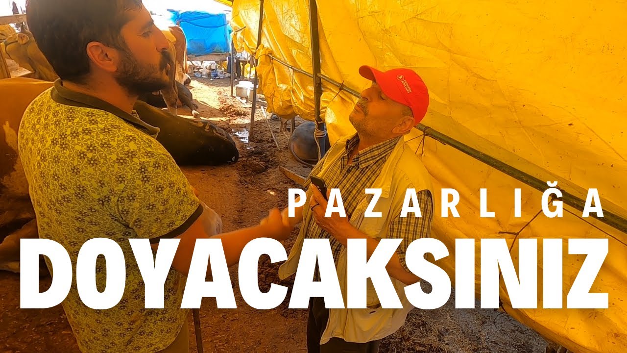 Pazarlığa Doyacaksınız | 2025 Kurbanlık Fiyatları
