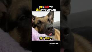 たった5年の命で愛を教えてくれた