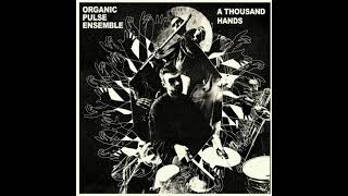 Organic Pulse Ensemble - For All The Other Places