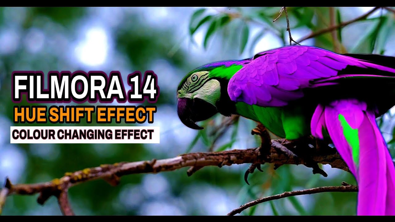 FILMORA 14 | HUE SHIFT EFFECT COLOUR CHANGING EFFECT