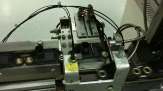 IMG 0912