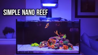 Nano Reef Tank Update Month Six (No Skimmer)  20 Gallon Reef Tank