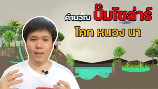 โคกหนองนา โมเดล ใช้ปั๊มขนาดเท่าไหร่ดี คำนวณได้ด้วยตัวเอง | Solar for Agriculture EP.2