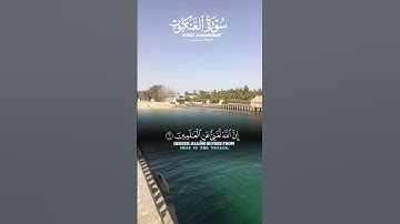 قران كريم #المصحف #اكسبلور #قران_كريم #حالات_واتس #تلاوة_خاشعة