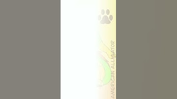 Lil’ Mac reference