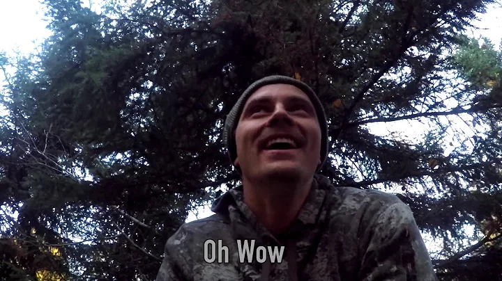 LONG BOW HUNTING WHITETAIL DEER!