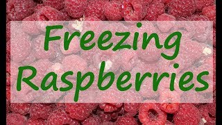 Freezing Raspberries