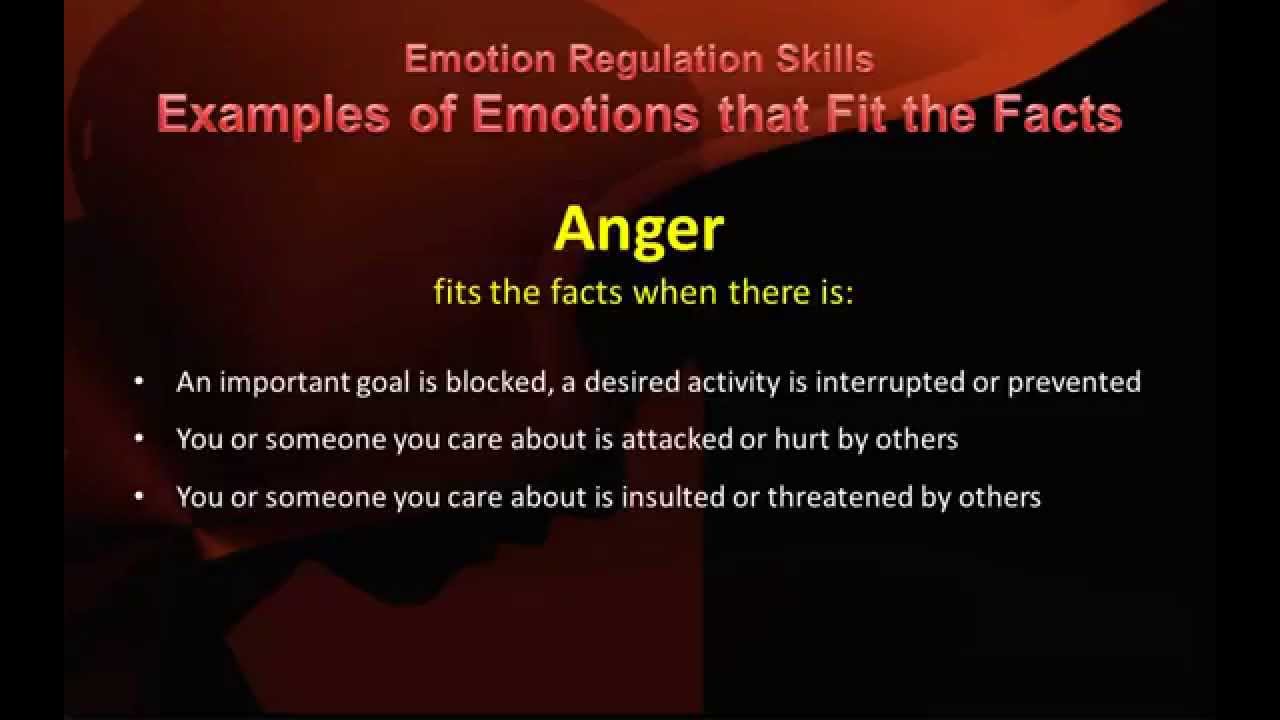 dbt-peer-connections-check-the-facts-of-emotional-responses-youtube