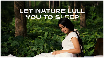 Discover Nature With Luxurious Comfort | Morning Owl™ -  Certified 100% Natural Latex Mattresses