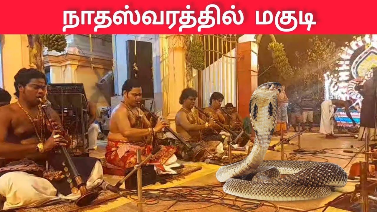 Snake Song in Nadhaswaram | Nadhaswaram | PS.Balamurugan | KP.Kumaran | @moon-rd31
