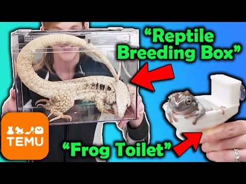 We Review Reptile Products from Temu!