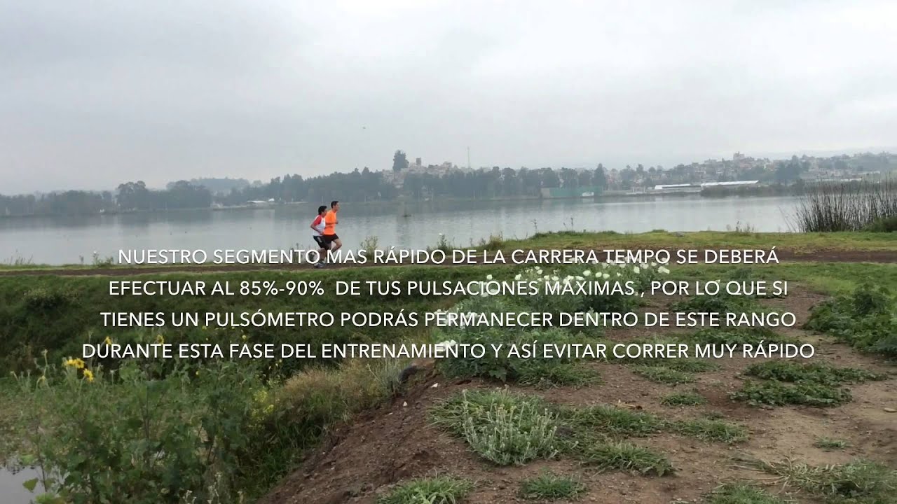 camera iphone 8 plus apk CARRERA TEMPO ó TEMPO RUN