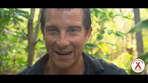 The Mantis Journey with Bear Grylls