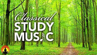 🔴 Study Music 24/7, Classical Music, Focus Music, Stress Relief Music, Calm Music, Mozart, Study