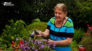 Gail Evans As My Ancestors Planted for Me I Plant for My Children Donor-Advised Fund Story