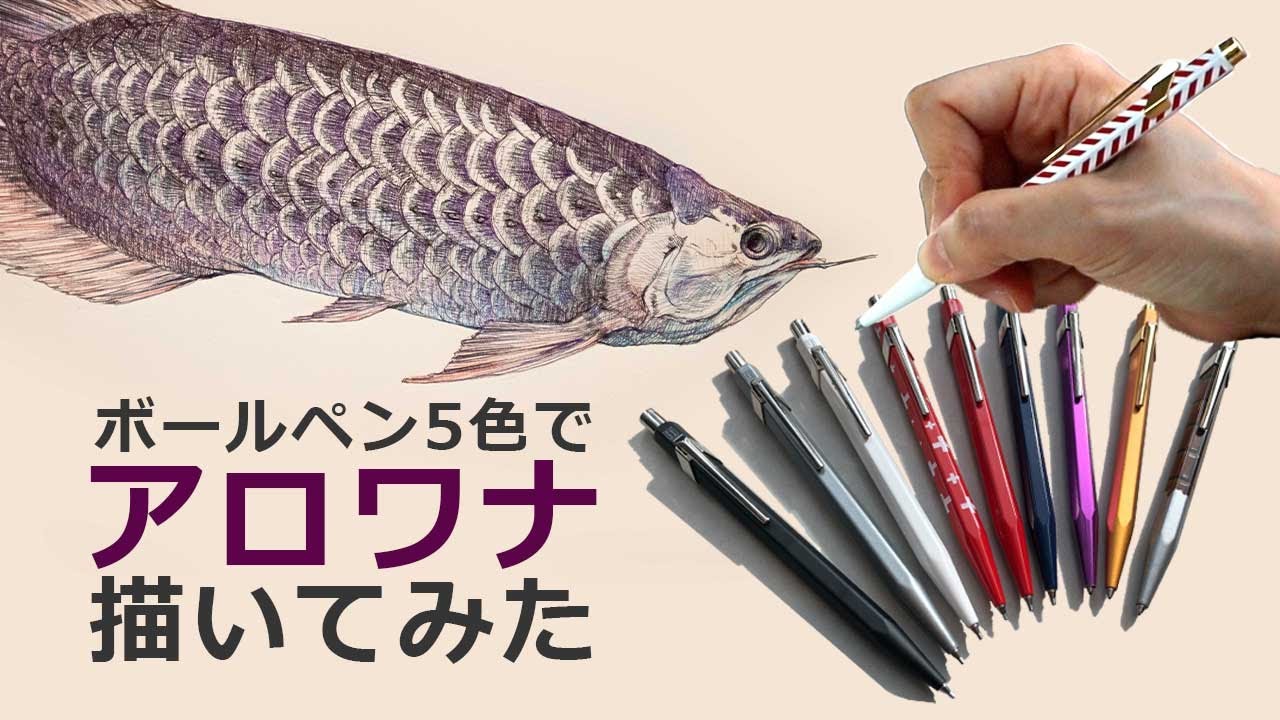 描いてみた】ボールペン5色でアロワナ【カランダッシュ】 - YouTube