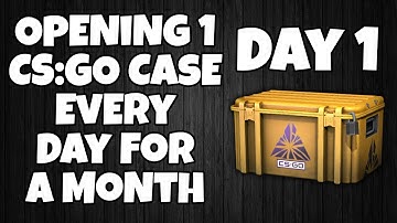 Opening 1 CS:GO Case Every Day For A Month - Day 1