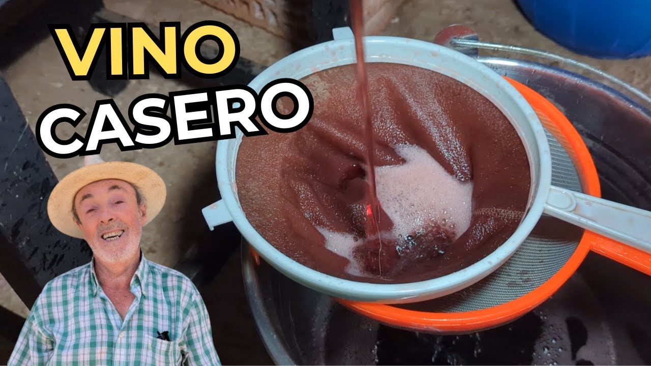 Cómo hacer EL MEJOR VINO casero de mi pueblo