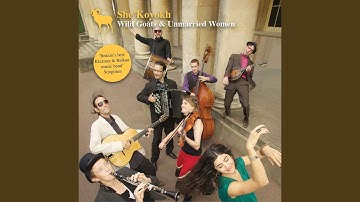 Beregovski Sher / Honga / Freylekhe Yontov