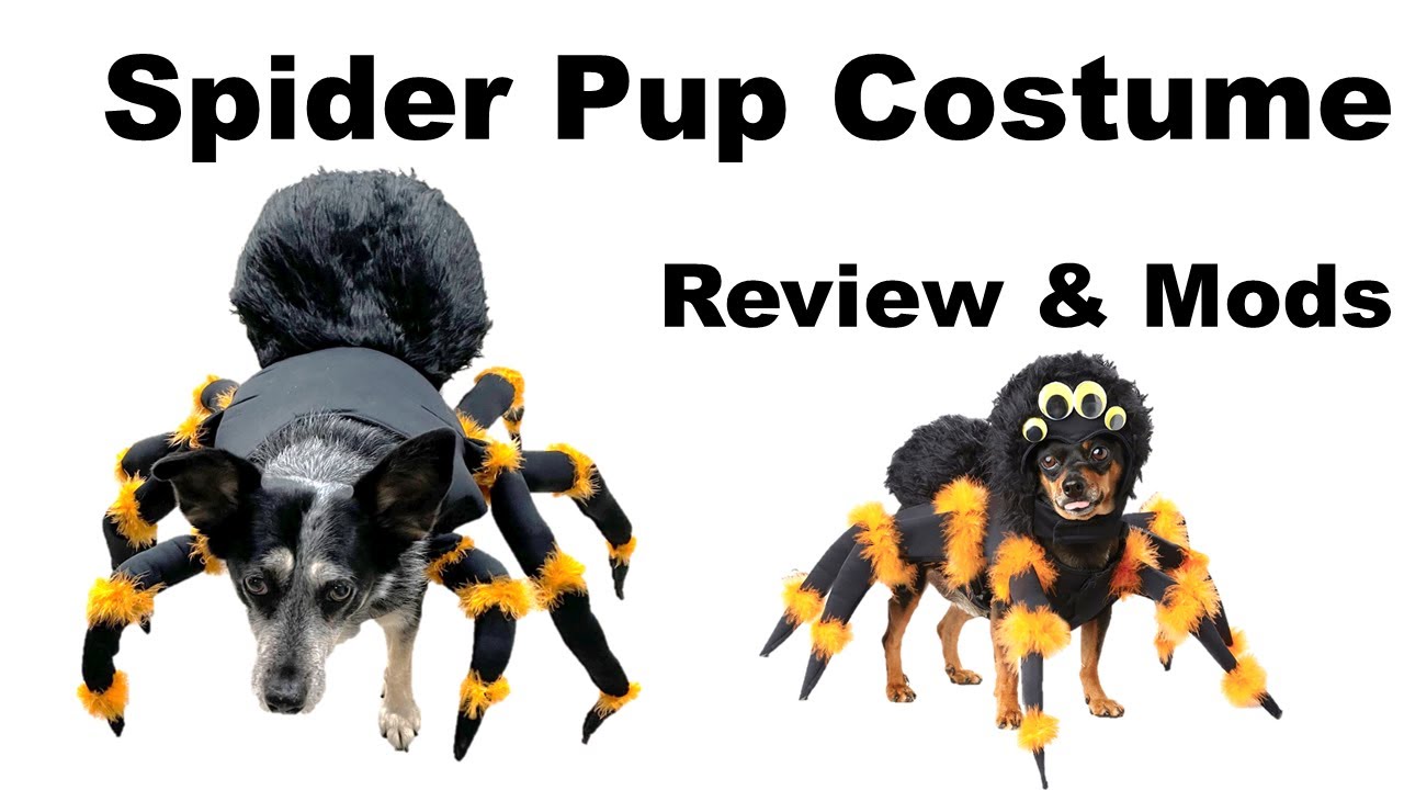 Dog Spider Costume Review & Mods (from Amazon California Costumes