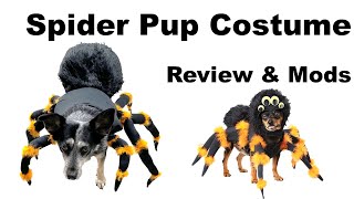 Dog Spider Costume - Review & Mods (from Amazon - California Costumes) doggy puppy costume