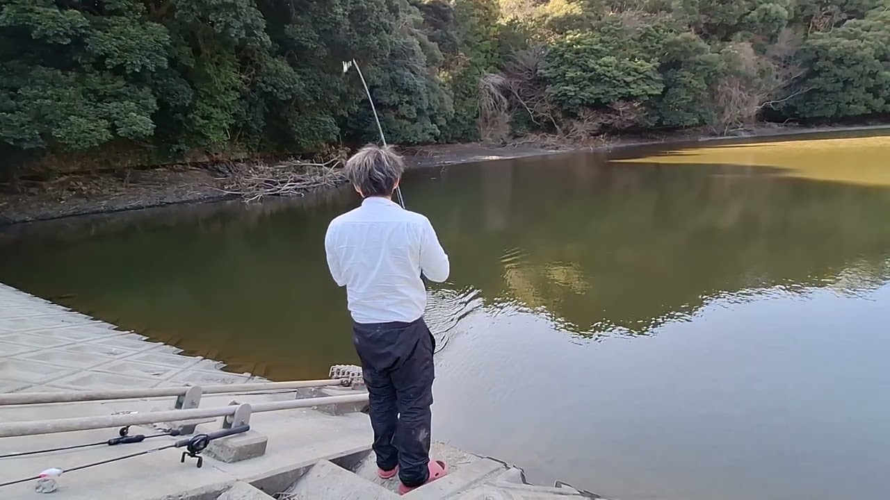 ヒカル社長バズベイトでバス釣り‼️