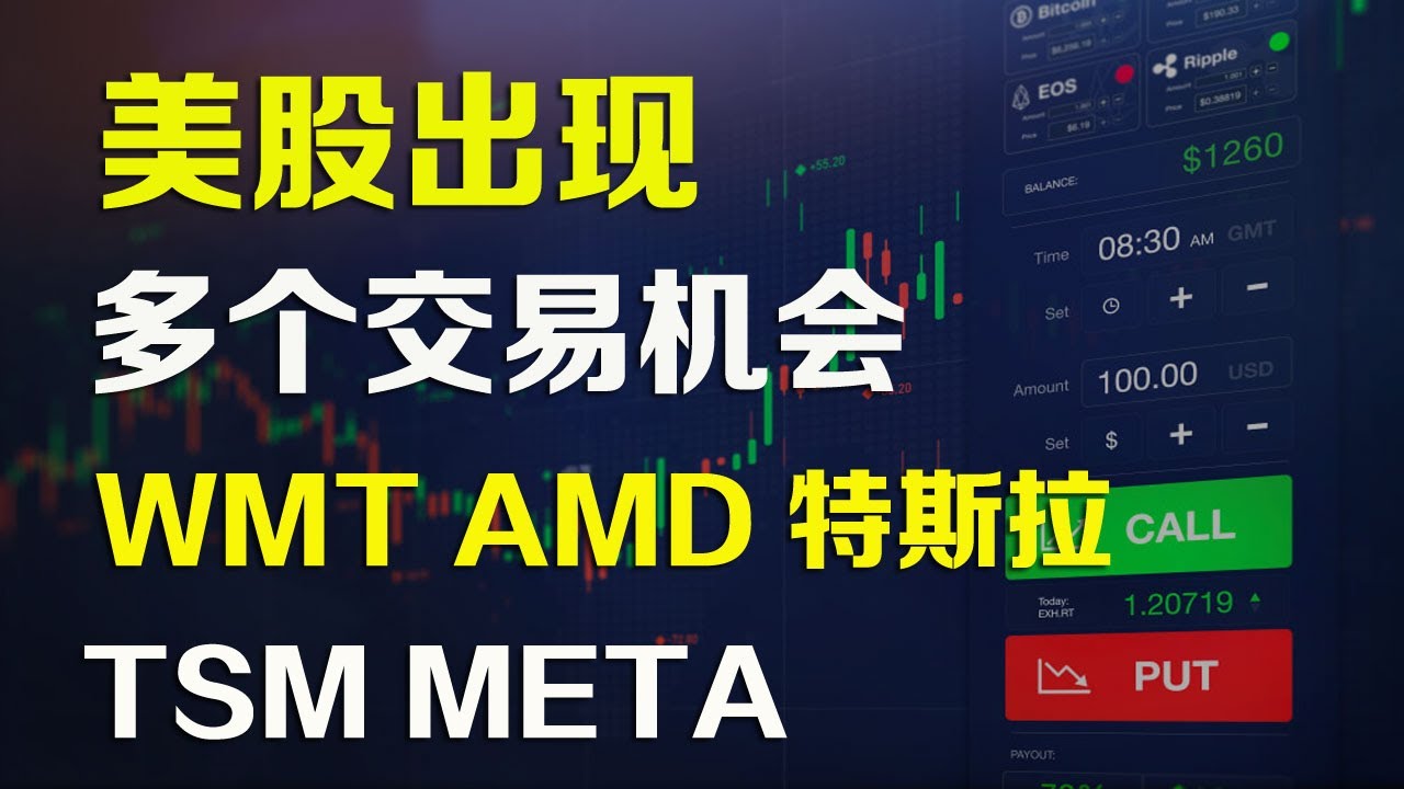 wmt-amd-meta-tsm-youtube