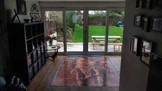 The Elephant in the room Penny floor Net Worth