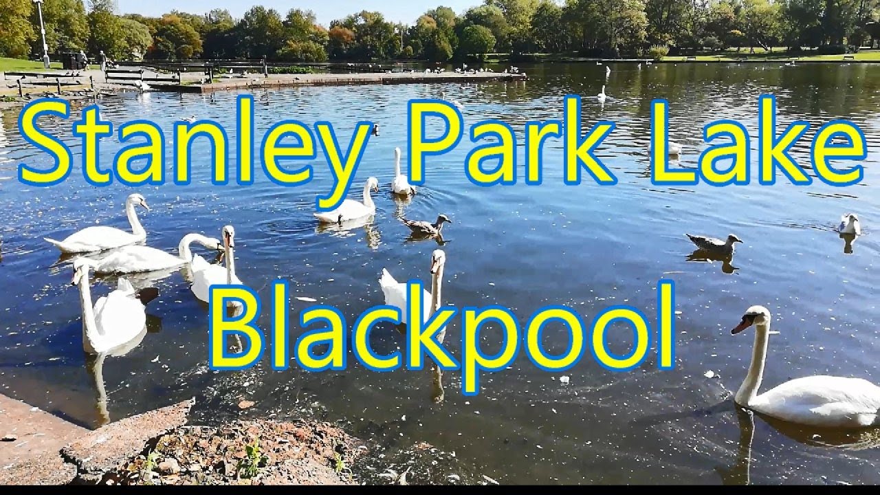 Stanley Park Lake Blackpool