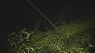 Trees block Griffin roadways after powerful storms