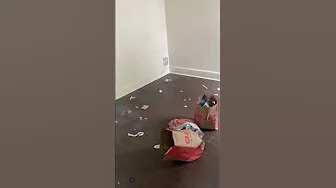 Temple University  Fraternity House Cleaning thumbnail
