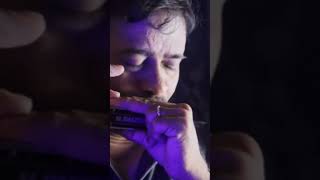       harmonica viral song harmonicaplayer cover mouthorgan
