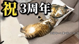 【祝】チャンネル3周年記念ライブだお！