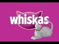 WHISKAS Animated spot- Gary Q