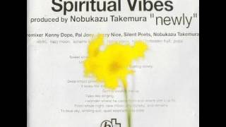 Spiritual Vibes – Newly - Alternative Tracks (LP) | oleo Records