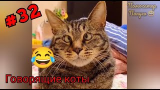 Говорящие коты! Лучшая подборка #32 😻🐱😻