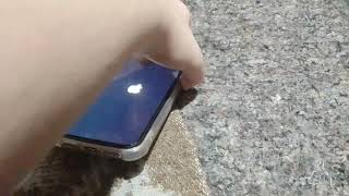 Iphone 11  Startupshutdown